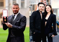 Vợ chồng con trai cả bất hiếu thật biết cách "xát muối" vào tim David Beckham trong ngày cha nhận phong tước Hiệp sĩ!