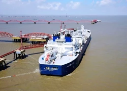 Xuất khẩu dầu của Nga giảm mạnh sau khi bị Mỹ trừng phạt, hơn 380 triệu thùng 'kẹt' ngoài biển