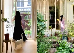 36 tuổi vẫn không kết hôn, người phụ nữ cải tạo đống đổ nát thành nhà đẹp như mộng: "Vậy là đủ bình yên rồi"