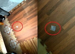 Bảo vệ trường tiểu học ở Hải Phòng tổ chức sử dụng ma túy trong phòng trực