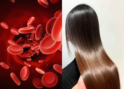 Cách phòng tránh rụng tóc do thiếu hụt vitamin và khoáng chất