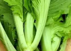 Cải bẹ xanh - Loại rau dân dã với 6 lợi ích vàng cho sức khỏe