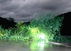 Ô tô bị cuốn trôi, 2 người bám vào bụi tre chới với giữa dòng nước