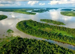 Cộng hòa Congo đàm phán hoán đổi nợ để bảo vệ môi trường