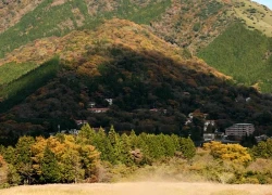 Đến Nhật Bản ngắm cánh đồng cỏ lau trên sườn đồi Daigatake