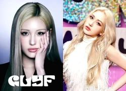 Điều tra khẩn "bông hồng lai" đắt giá nhất showbiz