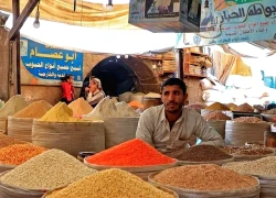 FAO: Giá lương thực thế giới giảm tháng thứ hai liên tiếp