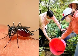 Ghi nhận ca tử vong do sốt xuất huyết ở trẻ em