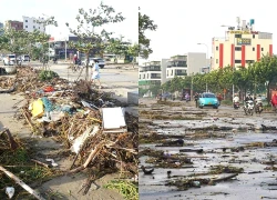 Hàng dừa đổ rạp, rác phủ kín đường ven biển Đà Nẵng khi bão Kalmaegi quét qua
