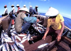 Indonesia bổ sung thêm tàu tuần tra ngăn chặn đánh bắt cá trái phép