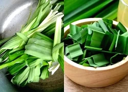 Lá thơm đặc trưng là 'thần dược' dễ tìm trong vườn nhà, hiệu quả bất ngờ cho sức khỏe