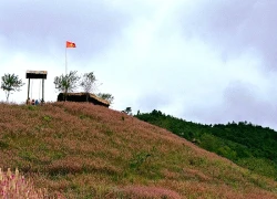 Lạc lối ở Mù Cang Chải mùa hoa Chi Pâu