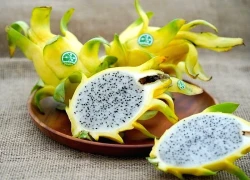 Lý do ăn thanh long vàng giúp chống bệnh tim