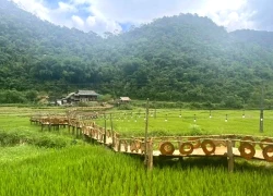 Mây vờn đỉnh núi nóc nhà xứ Mường