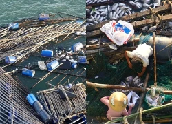 Ngư dân thất thần sau bão Kalmaegi: Trắng tay rồi, tan nát hết!