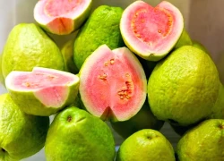 Ổi ruột hồng và trắng: Loại nào tốt hơn?