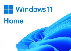 Tắt thông báo 'hoàn tất thiết lập thiết bị' trên Windows 11