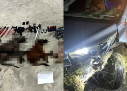 Truy bắt nhóm trộm chó đi ô tô ở TPHCM