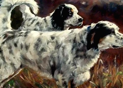 4 con giáp sắp bước vào thời kỳ may mắn vượt bậc, tiền bạc rủng rỉnh, sự nghiệp phất lên như diều gặp gió