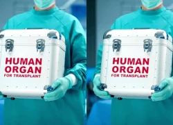 Bác sỹ tắc trách, bệnh nhân suýt bị mổ lấy tạng hiến ngay khi còn sống