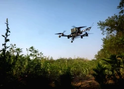 Bỉ đề nghị các nước hỗ trợ đối phó thiết bị bay không người lái