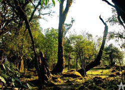 Bước chân chinh phục đỉnh Samu - Bước chuyển mình của du lịch Tà Xùa