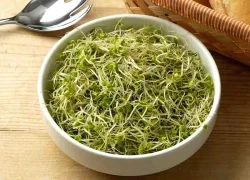 Công dụng tuyệt vời của mầm bông cải xanh và cảnh báo nguy cơ khi dùng