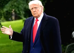 Đảng mang tên 'TRUMP' bước vào sân chơi chính trị ở Bỉ