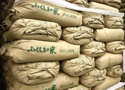 Giá gạo leo thang - thách thức lớn với tân Thủ tướng Nhật Bản