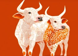 Giàu sang không hẹn mà đến: 3 con giáp vượng nhất ngày 10/11, phúc lộc song hành