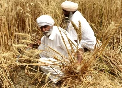 Hình thức mới giúp người thu nhập thấp ở Ấn Độ có điểm tựa tài chính