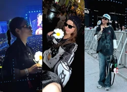 Khi sao Việt đu concert "anh Long": Dễ gặp nhất là khu VIP và VVIP, chịu chơi nhất là người này