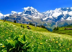 Chạm vào vẻ đẹp Tây Âu - Hành trình của bốn mùa Châu Âu