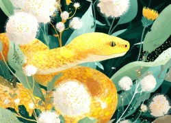 Liên tiếp từ 11/11 - 17/11, 3 con giáp tiền hái ra tiền, đón nhận tài lộc