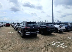 Lô xe Mitsubishi Xforce bản 7 chỗ đầu tiên về Việt Nam