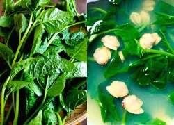 Món rau người Nhật rất chuộng vì khả năng ngừa ung thư, bán đầy chợ Việt, chế biến thành nhiều món ngon