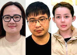 Mr Pips, Hoàng Hường phạm tội: Quy trình xử lý tài sản bị thu giữ, kê biên của người nổi tiếng