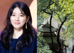 Nghe tin phim Hàn siêu hot quay ở Việt Nam mà mừng phát khóc: Nữ chính là minh tinh hạng A đẹp nức nở, cả MXH rủ nhau đi casting