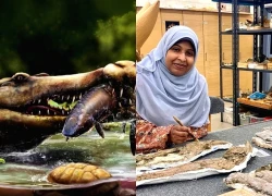 Quái vật 80 triệu tuổi "trỗi dậy" ở Ai Cập