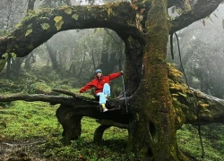 Sa Mu: Chinh phục đỉnh núi 2.756m giữa mây trời Tây Bắc