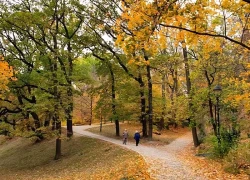 Sắc thu vàng Praha