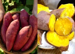 Sự thật về khoai lang và bệnh tiểu đường