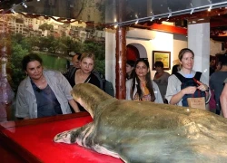 Sức hút đặc biệt của "Ngọc Sơn - đêm huyền bí"