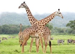 Gợi ý những điểm đến lý tưởng trong năm 2026