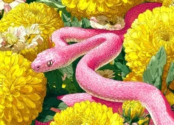 Trong 2 tuần tới, 3 con giáp trúng mạch vàng tài lộc: Tiền rơi vào túi không kịp đếm