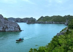 Vì sao Cát Bà trở thành "ngôi sao mới" trên bản đồ du lịch quốc tế?