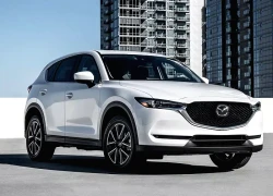 4 chiếc xe cũ đáng mua nhất trong dịp cuối năm 2025