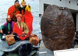 Bí ẩn Lão Rùa Tây Du Ký, hóa ra có thật trên đời, đã biến mất 5 triệu năm trước?