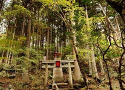 Bức tranh thu thanh tịnh tại chùa Choanji ở Nhật Bản