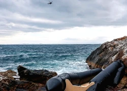 COP30: Cậu bé và chú chó lạc trên đảo chìm thông điệp lặng thầm gửi tới hội nghị